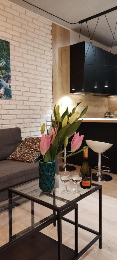 Be My Guest- Fontany Luxury Apartment Metro Wi-Fi Free Parking Zone Warsaw Ngoại thất bức ảnh